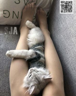 日韩欧美aaa_HD韩国电影在线观看